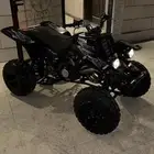 بانشي اسود 2005