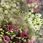 ورد طبيعي بسعر الجمله