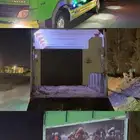 عربه خيل توصيل خيول