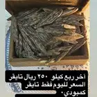 عود
