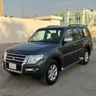 باجيرو 2020