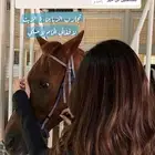 زيت افغاني