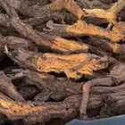 سلام عليكم الي يبي يدق اتصال