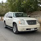دينالي 2010