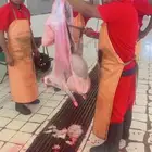 ذبايح