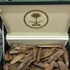 عودة تايقر وغيرها