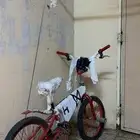 سيكل20مستخدم شهري خو الجديد رقم الجوال