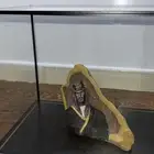 حجر طبيعي فريد يحمل صورة الملك عبدالعزيز