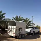 عربه لنقل الخيل ب حفرالباطن وخارج حفرالباطن