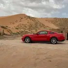 موستنج 2011