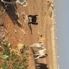معزا وتيوس للبيع