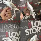 فرخ كروان اليف