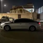 سوناتا 17 للبدل فقطط