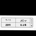 لوحة 2011