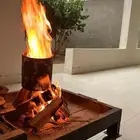 حطب افريقي