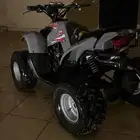 دباب نضيف