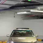LS 430