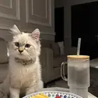 جده   حي التيسير