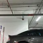 ولدات للبيع مع كفراتها