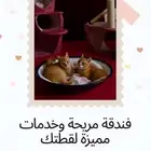 فندقه قطط