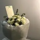 هالبوكيه الجميل ب 100 مع التوصيل في ارخص