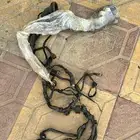 ظفيرة مكينة كامري 98-2002 امريكي قير تماتيك 4 سلندر