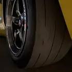 جنوط ويلد وريس ستار وكفرات ميكي تومسون