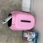 اغراض قطط
