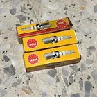 بواجي بانشي ngk جدد