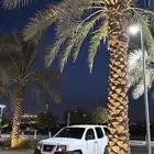 نيسان اكس تيرا