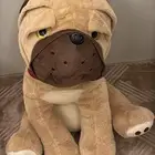 د ب لونه بني فاتح ناعم