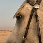 تدريب ركوب خيل