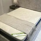 مراتب