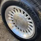 جنوط الدمعه ماركيز