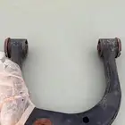 مقص تندرا أو سكويا .