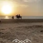 رحلات ركوب  خيل وبحر