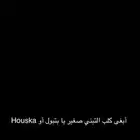 أبغى كلب