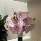 مسكة عروس زواج او ملكة