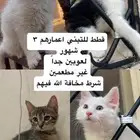 للتبني