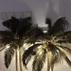 ابجوره