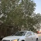 اكورد 2011 ابيض