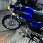 دباب وارد بن ثابت على السوم .