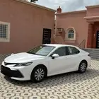 تم البيع الله يبارك لراعيها