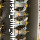 موسسة دلة الفارس