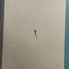 شوز نايك نسائي جديد air humara LX