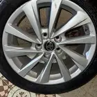 جنوط وكاله فئة النص فل