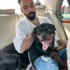 انثى روت وايلر