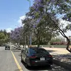 اكورد 2024 فل هايبرد للتنازل