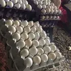 بيض دجاج كميات