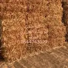 بلك ذرة جيزانية حمرا